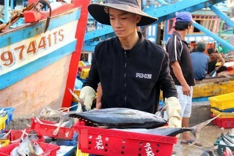 Kien Giang strives to crack down IUU fishing