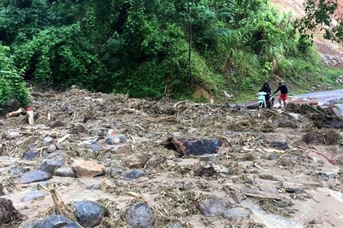 One dead, dozen go missing in Thanh Hoa due to storm Wipha