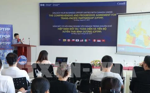 Da Nang seeks business cooperation opportunities with Canada 