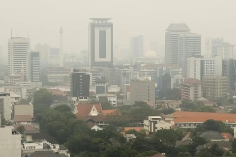 Indonesia curbs private cars to cut air pollution 