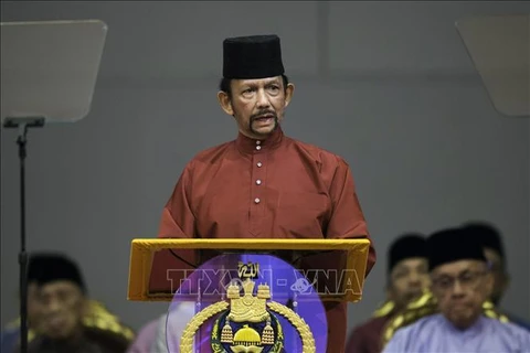 Brunei hails important role of ASEAN’s partner countries 