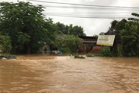 Floods take heavy toll on Central Highlands