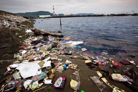 Action plan for marine debris reduction to be built 