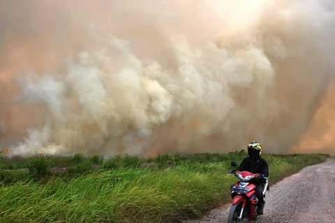 High risks of forest fires in many ASEAN countries