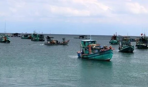 Khanh Hoa works to fight IUU fishing