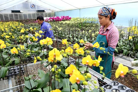 Over 84 percent of Hanoi’s communes gain new-style rural area status