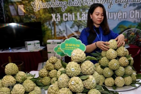 Lang Son promotes local Chi Lang custard-apple in Hanoi 