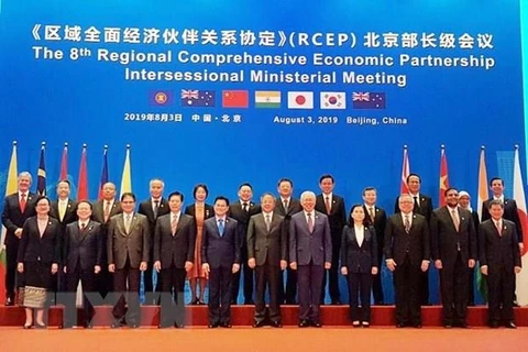 Asia-Pacific countries push ahead with RCEP negotiations