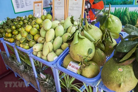 Vegetable, fruit exports target for 2019 reachable: experts