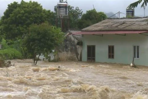 About four storms to hit mainland in remaining months of 2019 