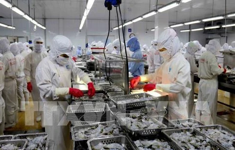 Shares of shrimp exporters surge after US cuts anti-dumping tariffs