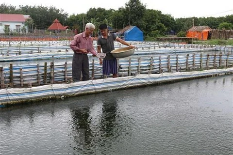 Solutions sought in water stocking in Mekong Delta