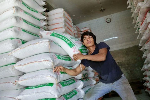 Cambodia exports nearly 133,000 tonnes of rice to China