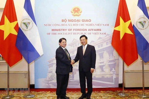 Nicaragua values ties with Vietnam: Nicaraguan FM