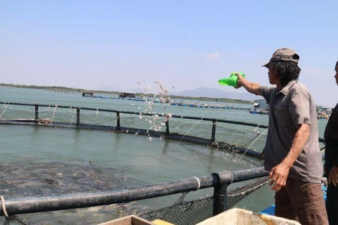 Time to tap ocean aquaculture potential: experts