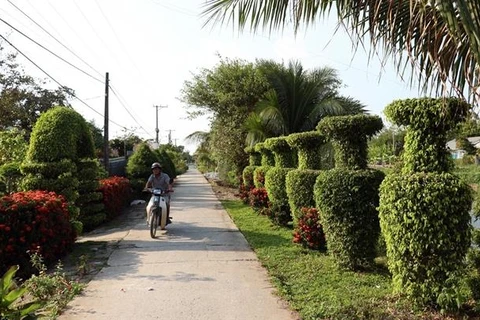 New-style rural area building programme achieves much success in Mekong Delta