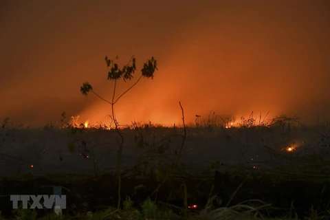 Haze from forest fires in Indonesia speads to neighbouring countries