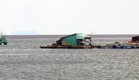 Kien Giang expands marine aquaculture on industrial scale
