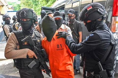 Indonesia arrests eight IS-linked terror suspects 