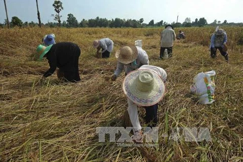 Thailand needs 100 billion THB to support rural economy