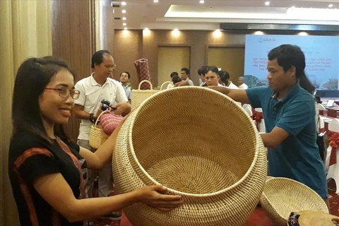 US-funded project helps develop rattan, herbal plants in Quang Nam