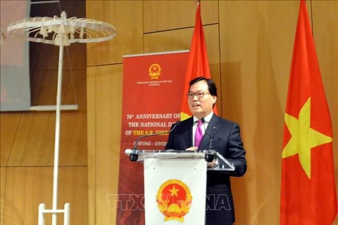 Vietnam prioritises preservation of cultural traditions: Ambassador