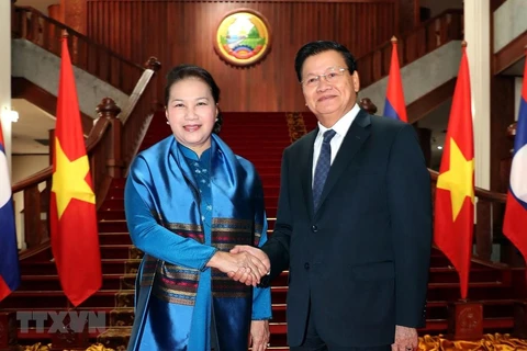 Vietnamese top legislator meets Lao Prime Minister 
