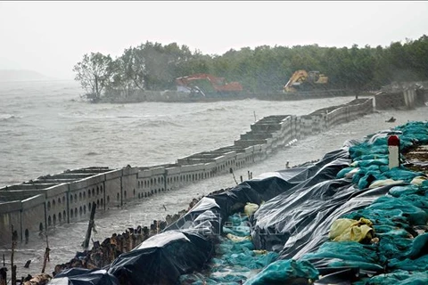 Ca Mau to relocate thousands of households due to coastal erosion