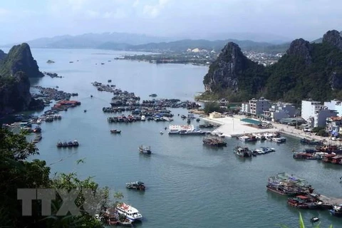 Quang Ninh: Van Don island district develops marine tourism