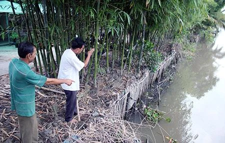 Hau Giang resorts to earthen embankments to prevent erosion along rivers