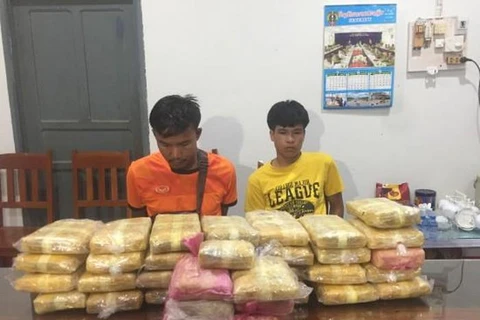 Vietnamese, Lao localities jointly bust massive drug trafficking ring