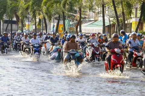 Urban areas in Mekong Delta face serious flooding