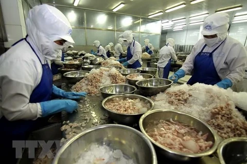 Bac Lieu province works to give its shrimp brands