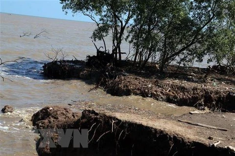 Kien Giang needs over 68.8 million USD to tackle coastal erosion