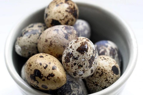 Singapore suspends quail egg imports from Malaysia