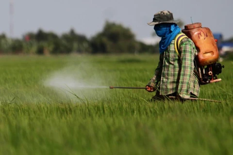 Thailand bans three toxic farm chemicals from December 