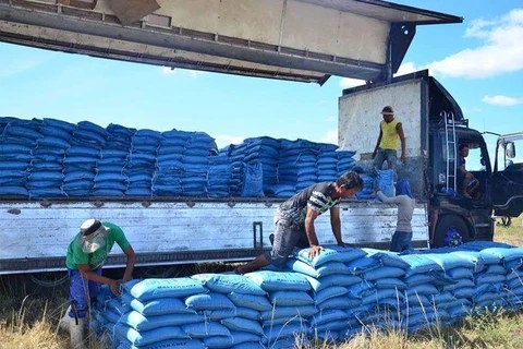 Philippines to slow down rice imports next year