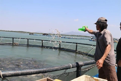 Vietnam begins to realise marine aquaculture potential