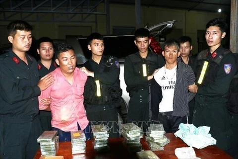 Ha Tinh busts large drug trafficking ring 