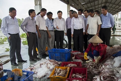 Vietnam reaps fruits in fighting IUU fishing