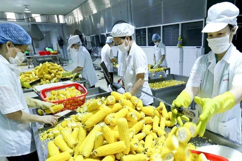 Vietnam seeks to boost fruit-vegie-flower exports to Asia, Europe 