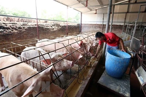 Hai Duong seeks to promote agricultural product processing, sale