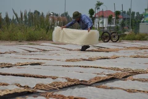 Craft villages develop despite urbanisation ​in Hai Duong