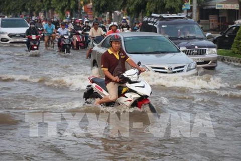 Flood prevention projects need to be reworked: experts
