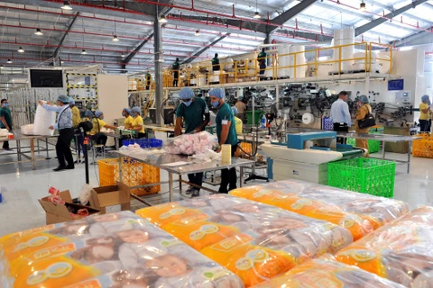 First Vietnamese factory inaugurated in Cuba