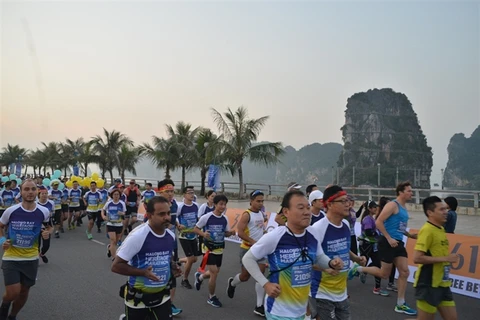 Over 3,000 athletes join Halong Bay Heritage Marathon 2019