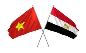 Vietnam, Egypt look to strengthen trade, investment connectivity