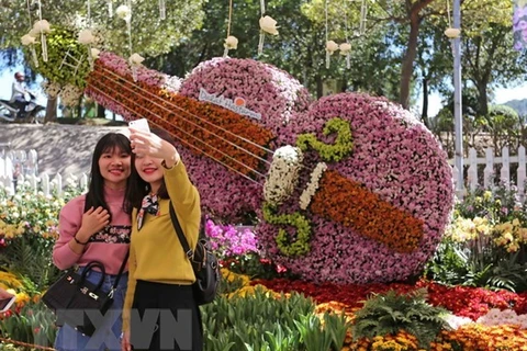 Da Lat flower festival promises attractive activities 