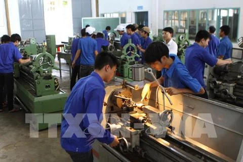 Germany looks to draw human resources from Vietnam