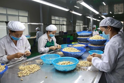 Cashew nut exports to China rise sharply